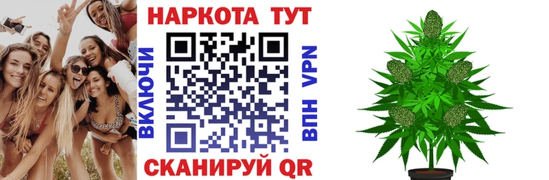 Названия наркотиков Кизел Каннабис Псилоцибиновые грибы ГАШИШ